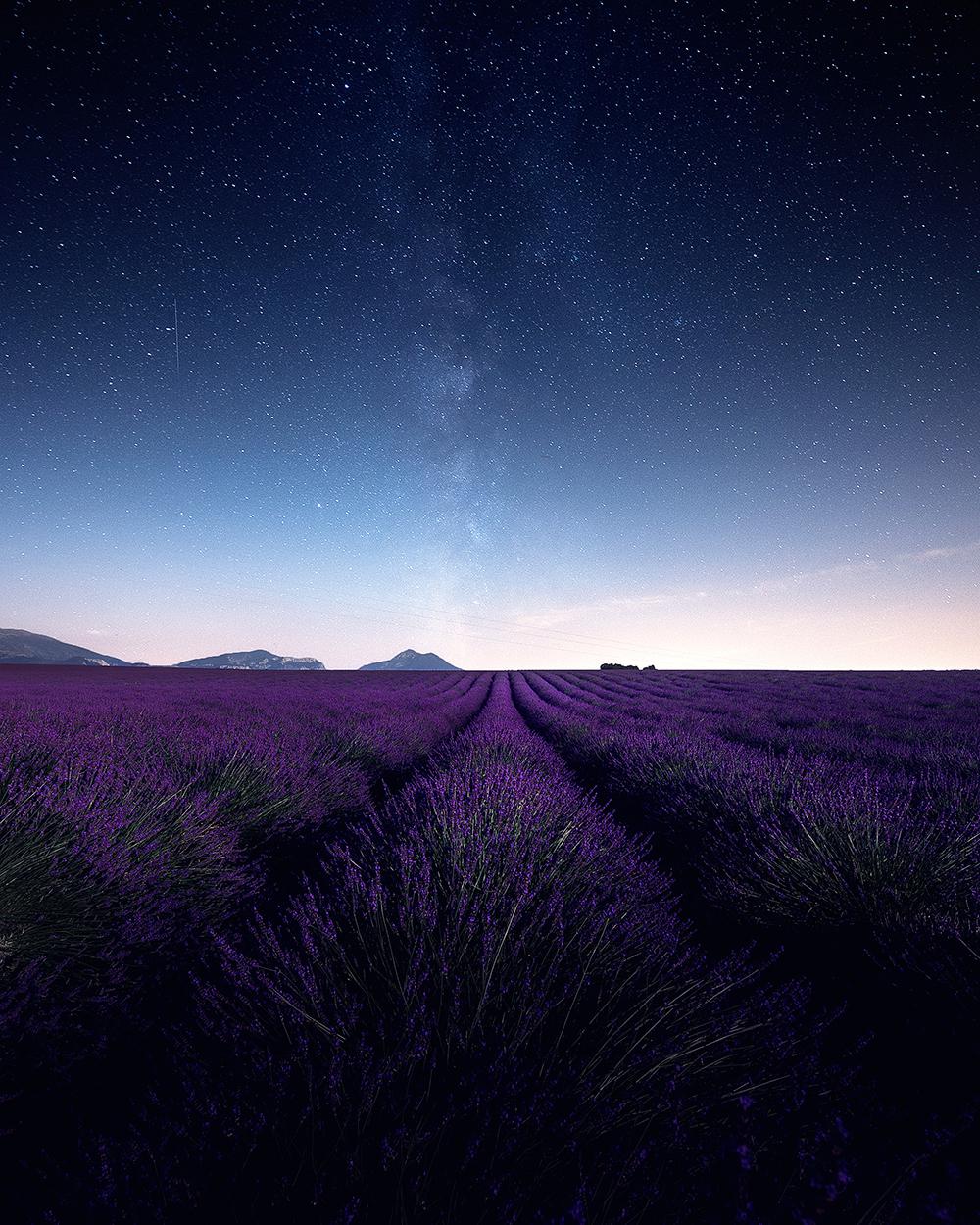Starry night in the Lavender fields of Valensole (France) | Meteor ...